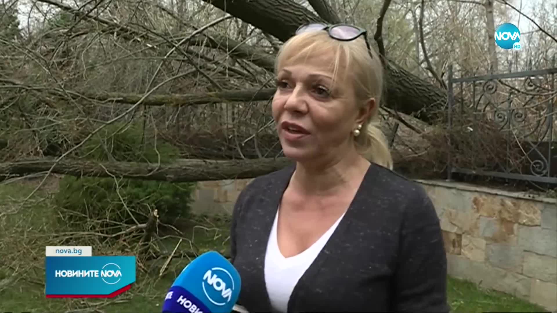 Какви са щетите след ураганния вятър в Западна България (ОБЗОР)