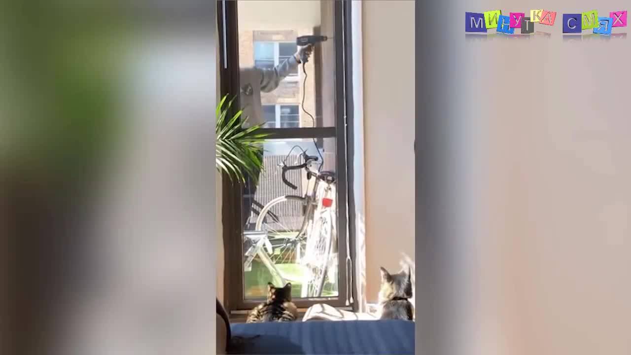 Луди смешки - Минутка смях