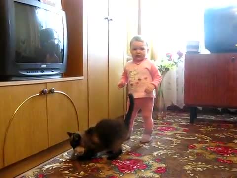 Котка си взима малкото от дете:):):)