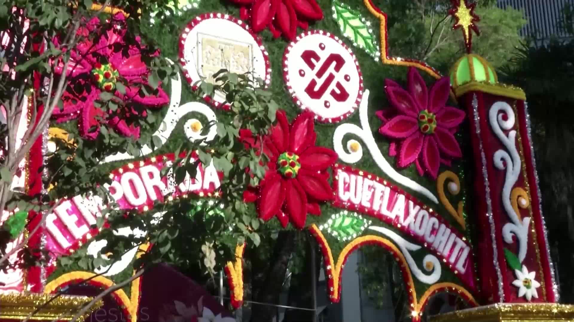 Мексико Сити цъфти в червено за Коледа (ВИДЕО)