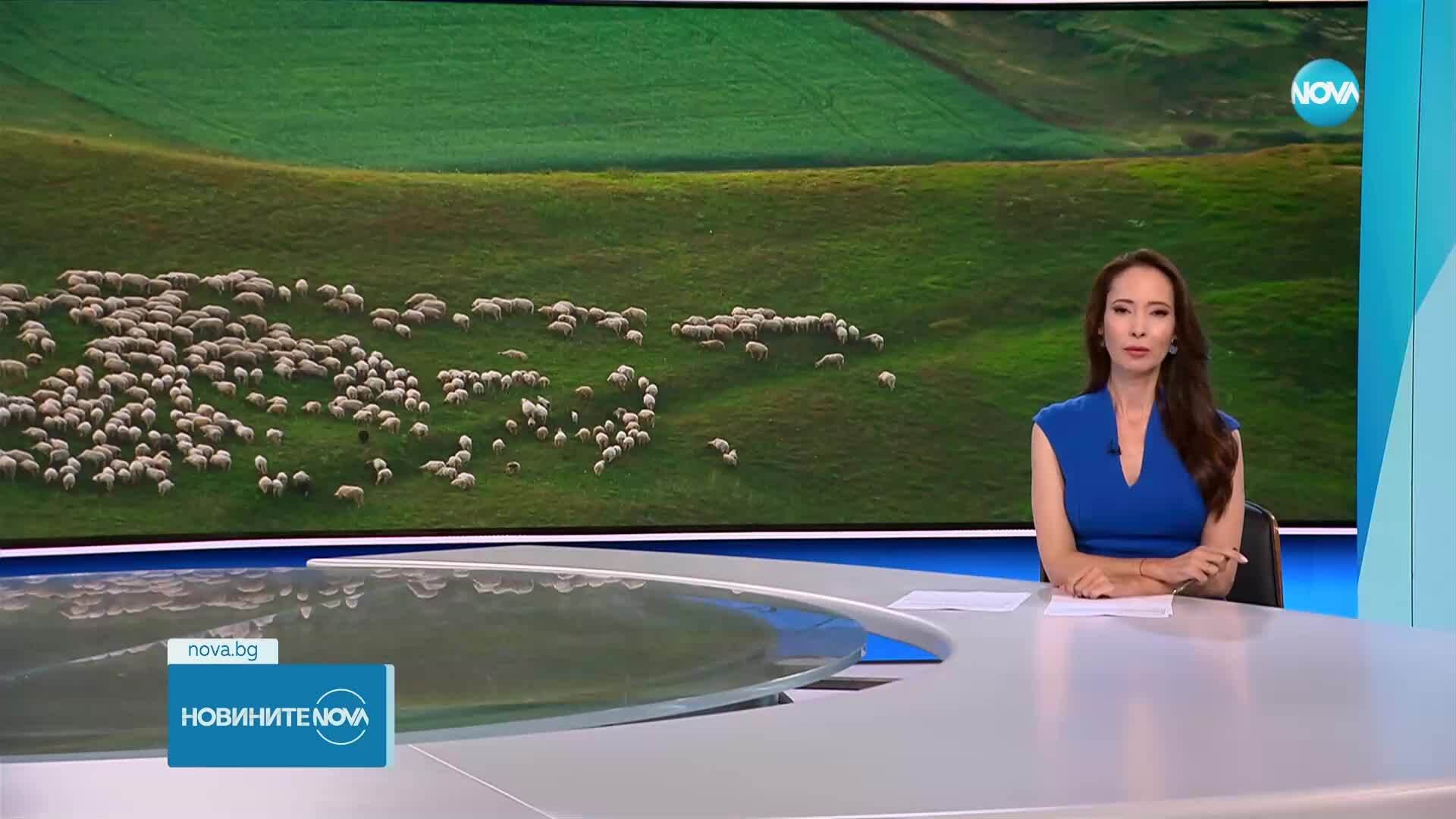 Новините на NOVA (24.07.2025 - следобедна емисия)