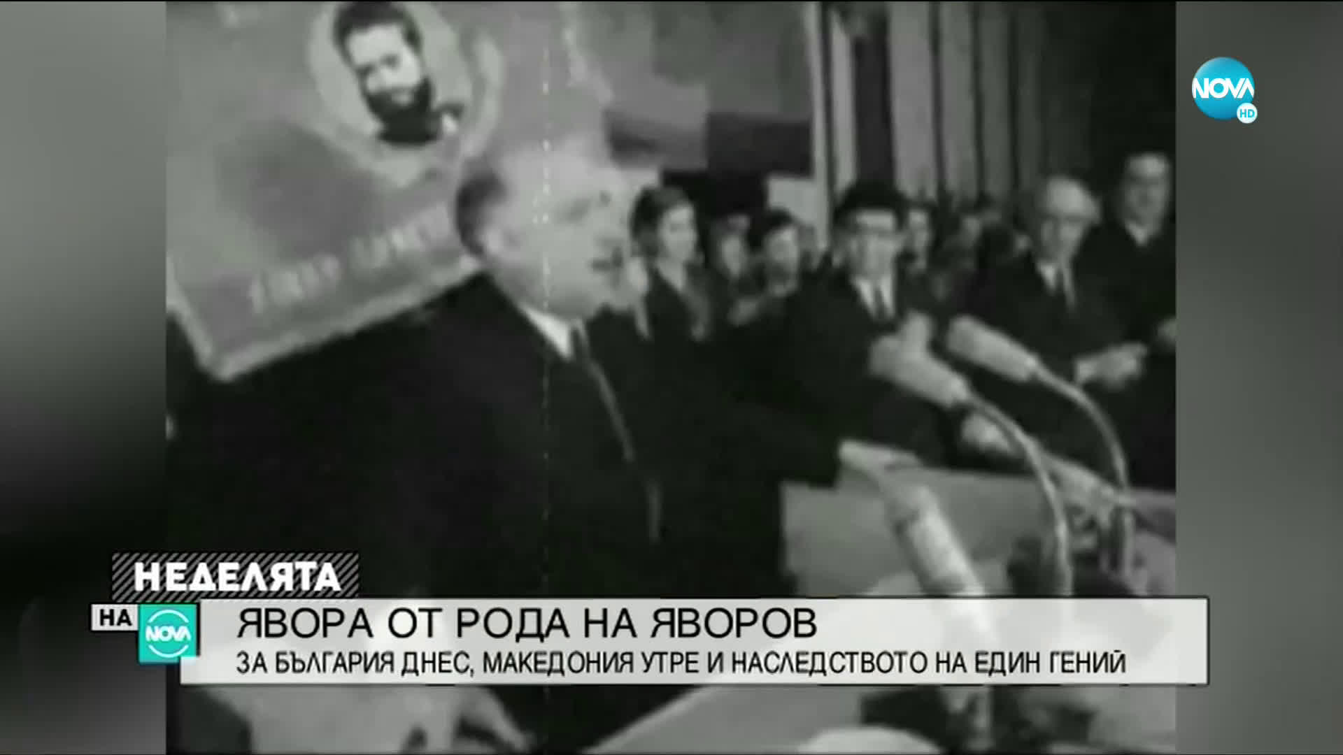 Явора от рода на Яворов