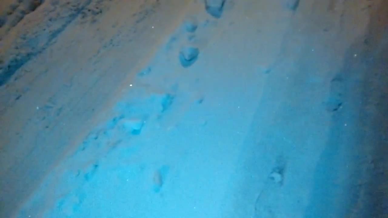 Снежно Хасково