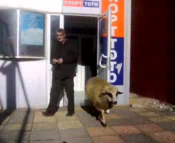 Как се ходи на Тото в България
