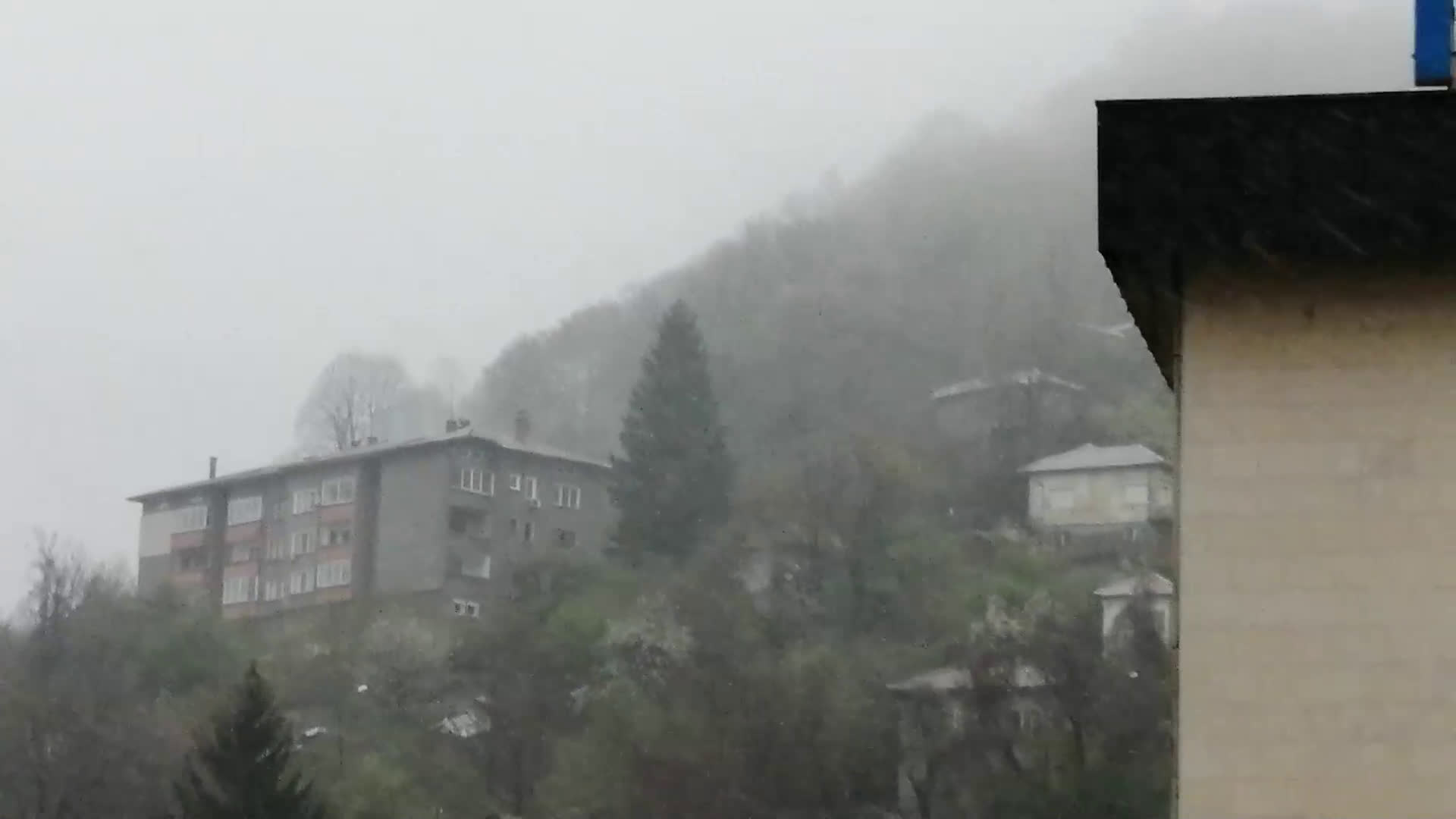 Сняг днес в Габрово