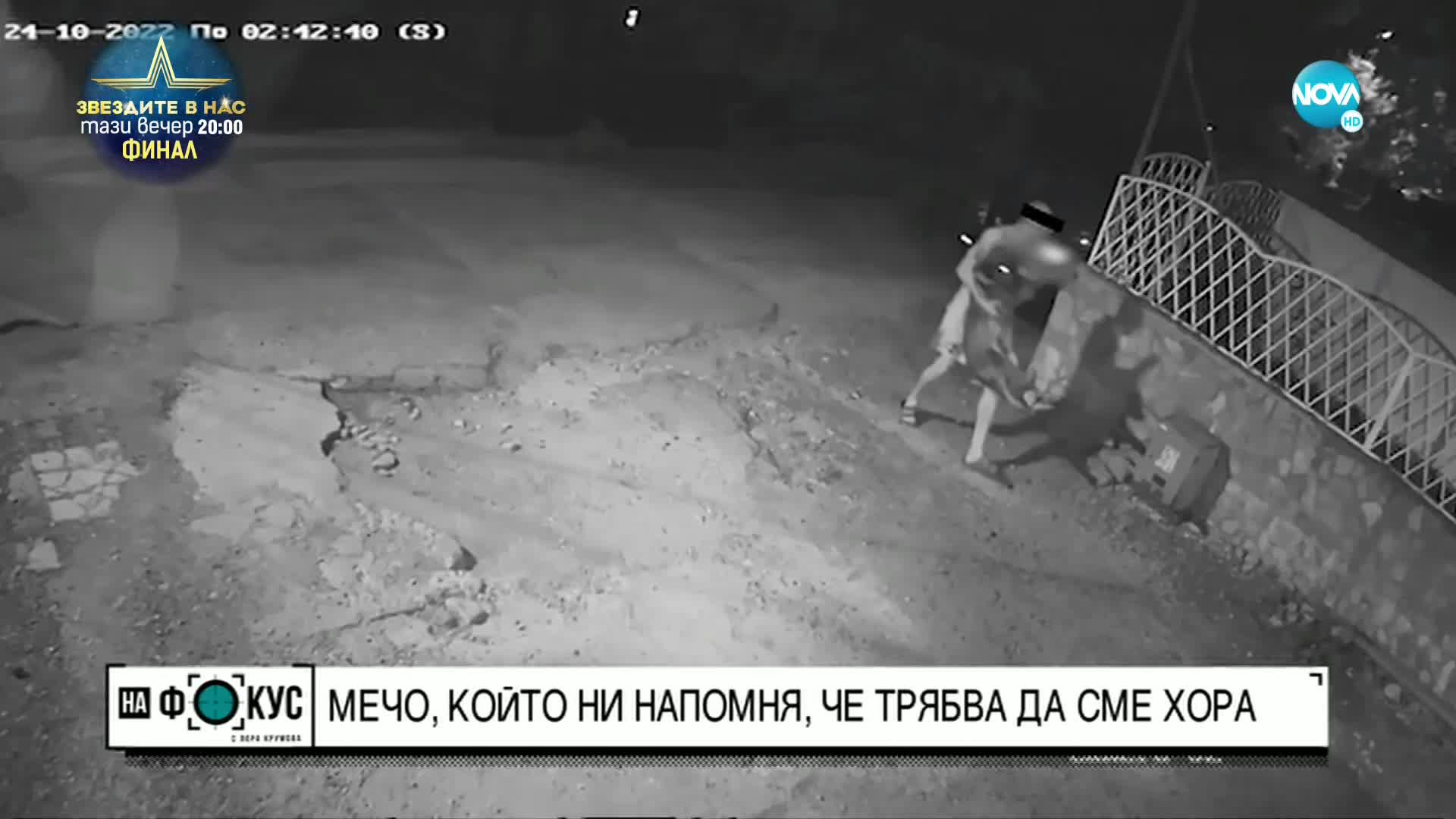 Animal Rescue: Мечо е бил удрян с предмети, лапите му са връзвани и е имал порезни рани