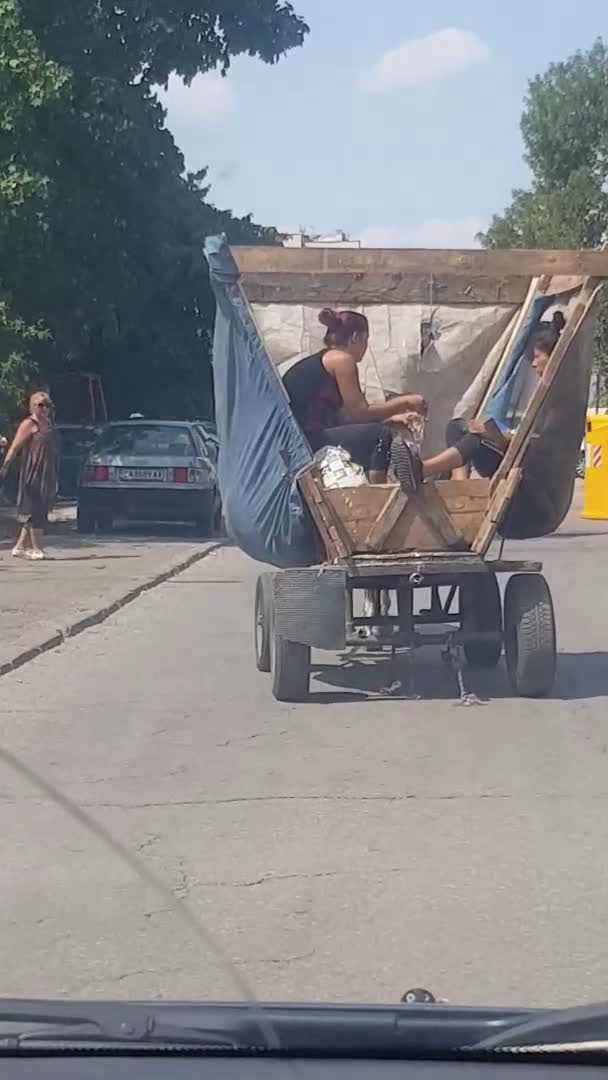 Каруца минава напряко през градинката...