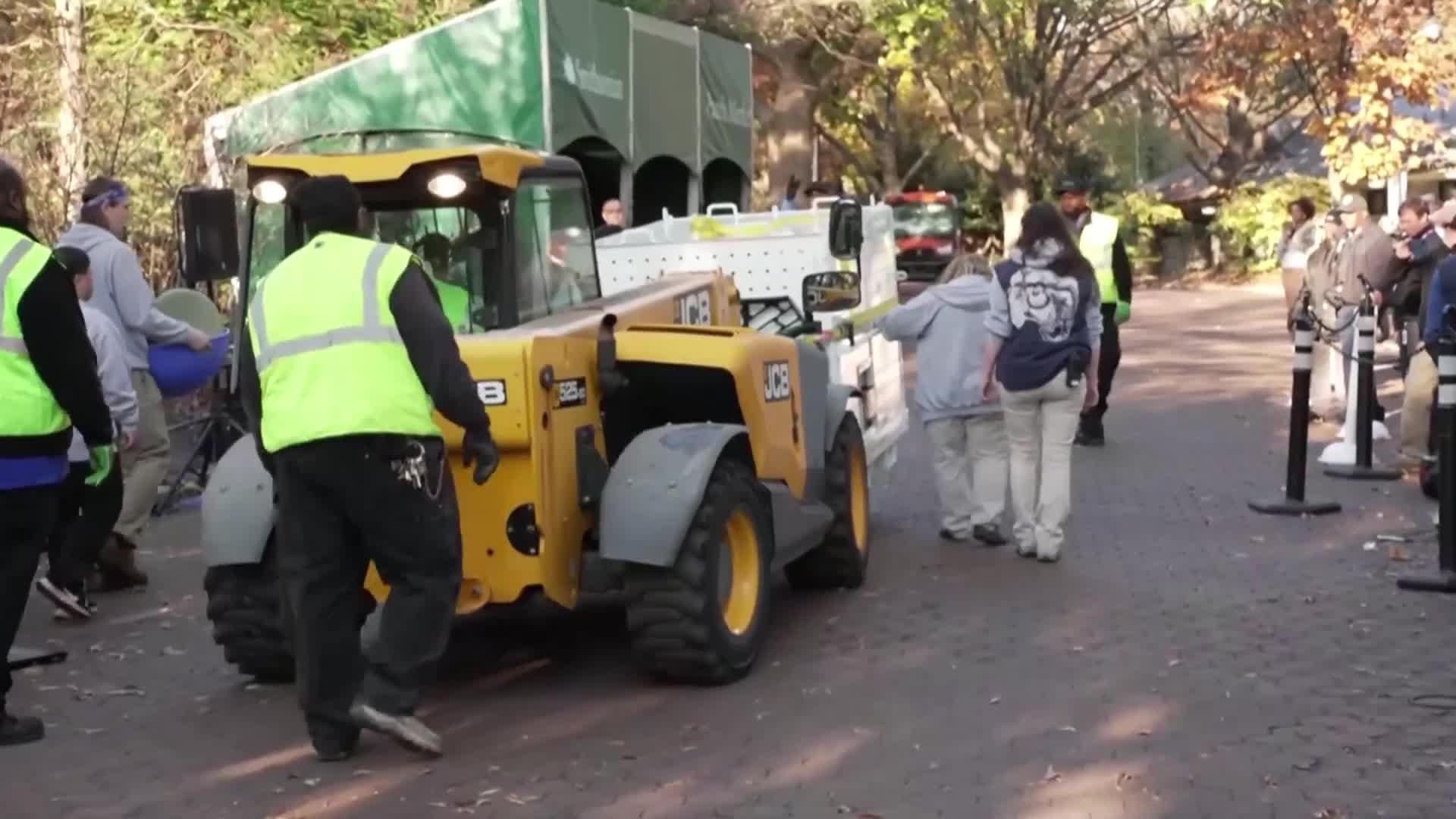 Трите панди от зоопарка във Вашингтон отпътуваха за Китай (ВИДЕО)