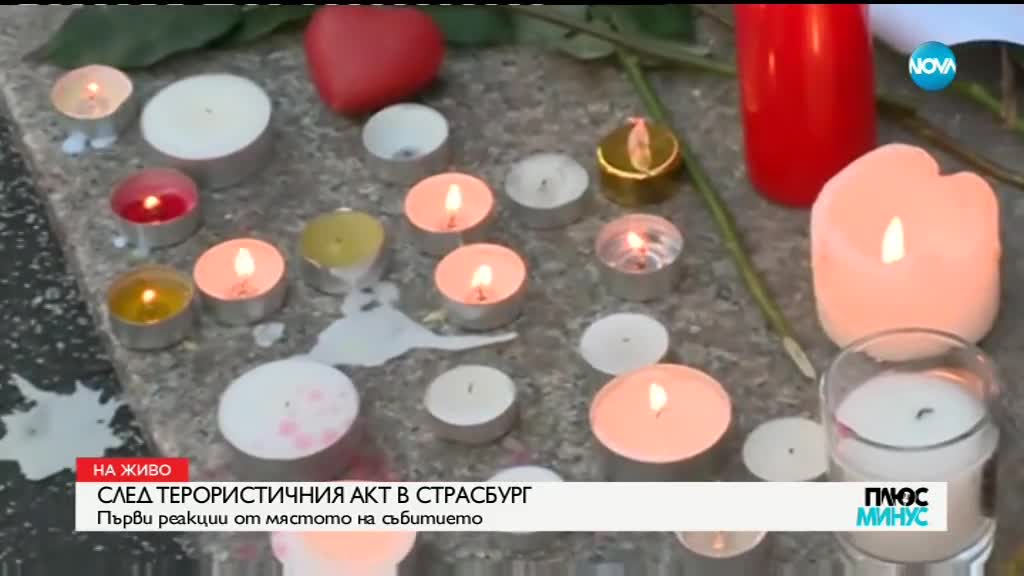 Германия засилва контрола по границата с Франция след нападението в Страсбург (СНИМКИ)