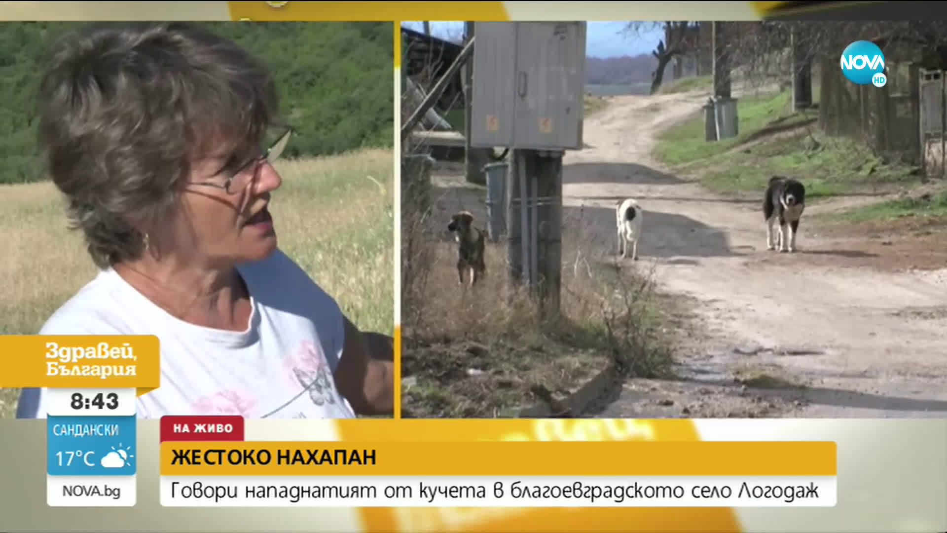 Кучета нахапаха жестоко мъж в село Логодаж