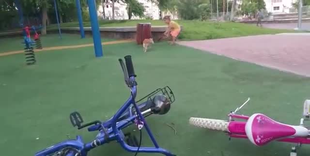 Отмъщението на котката