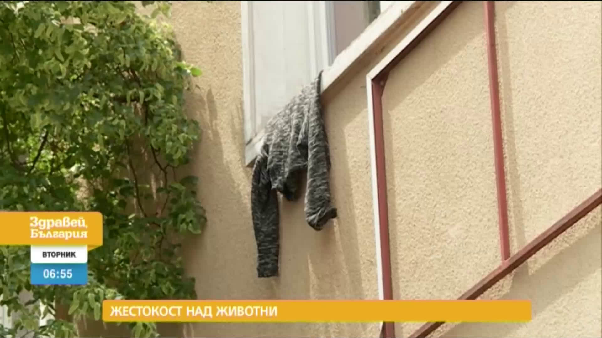 В "Здравей, България" на 28 юли очаквайте