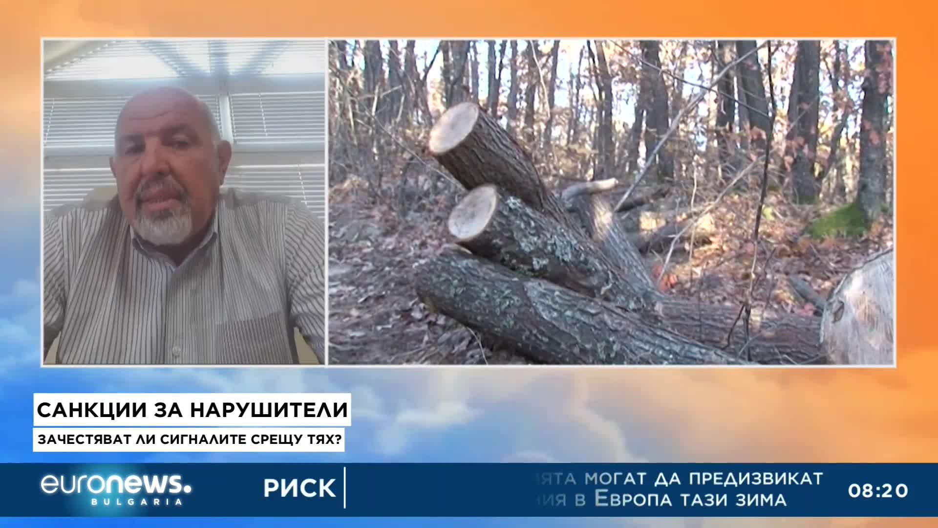 Масови акции на Агенцията по горите и МВР за незаконна сеч в цялата страна
