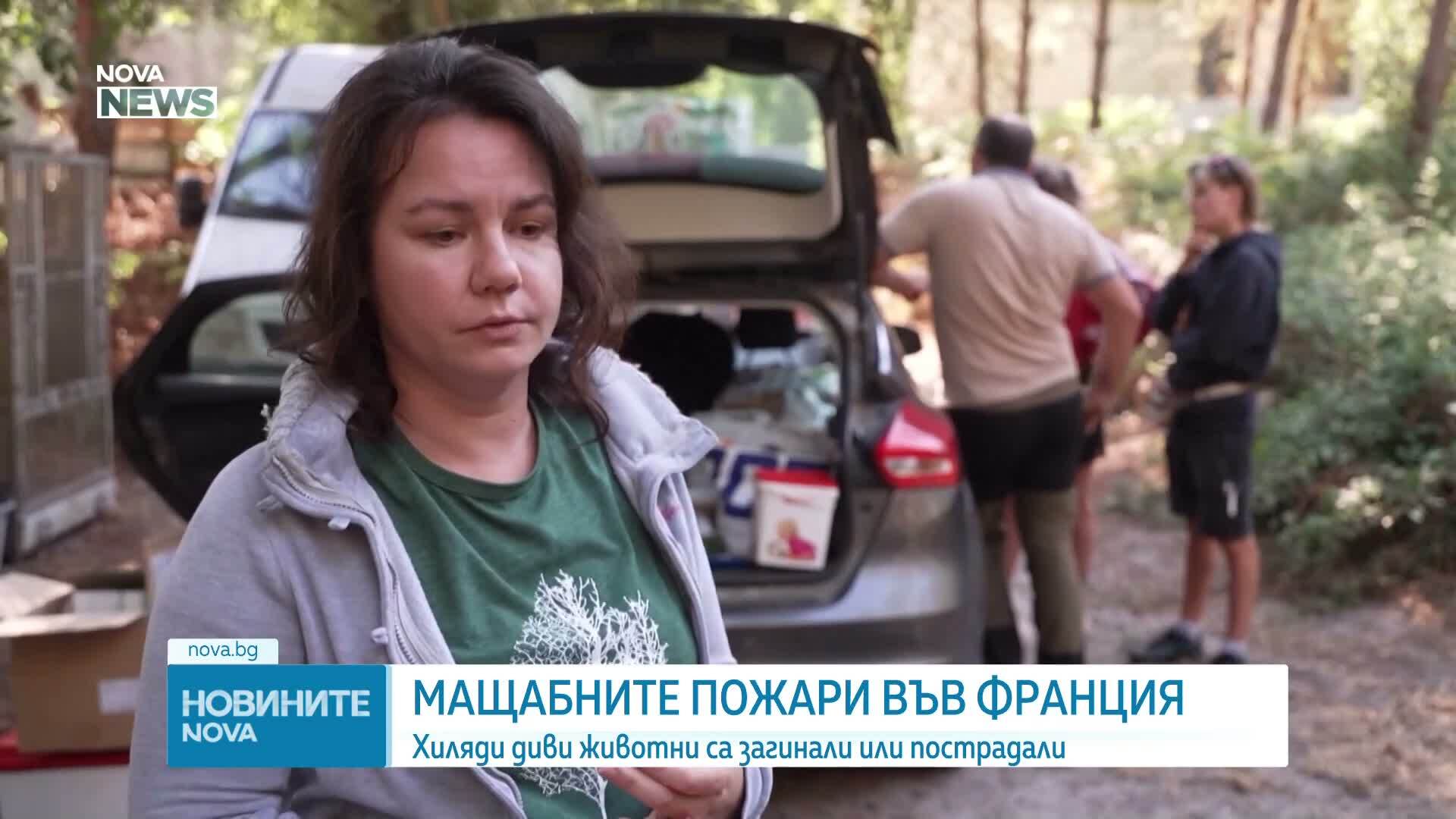 Хиляди диви животни загинаха в опустошителните горски пожари във Франция