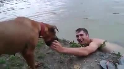 Стопанин заблуждава кучето си, че се дави