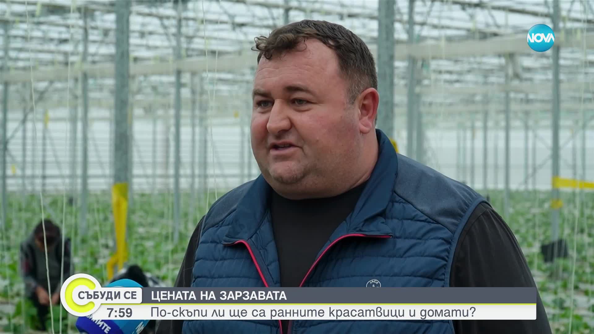По-скъпи ли ще са ранните краставици и домати: Производителите искат 0% ДДС