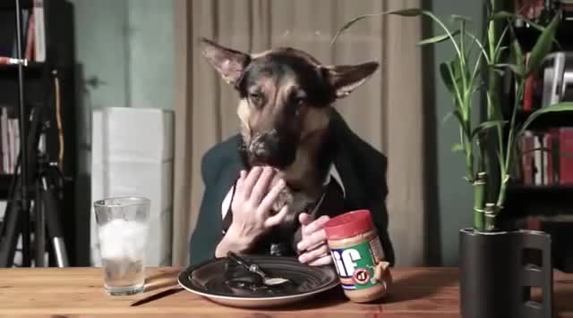 Смях ... куче се храни