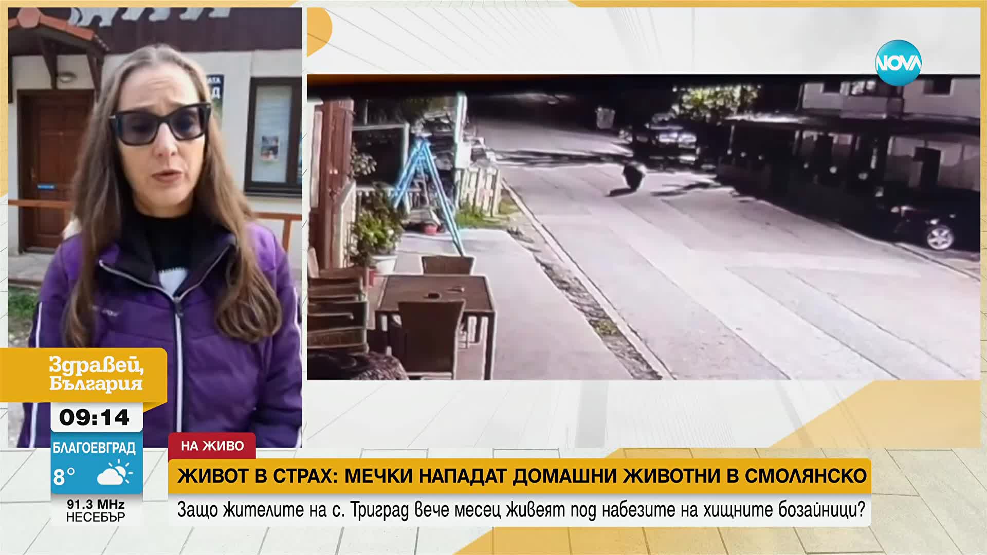 Мечки нападат домашни животни в Смолянско (ВИДЕО)