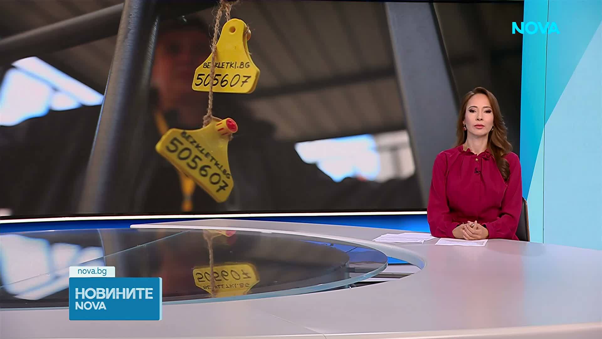 Граждани се затварят в клетки пред парламента в протест срещу отглеждането на телета в изолация