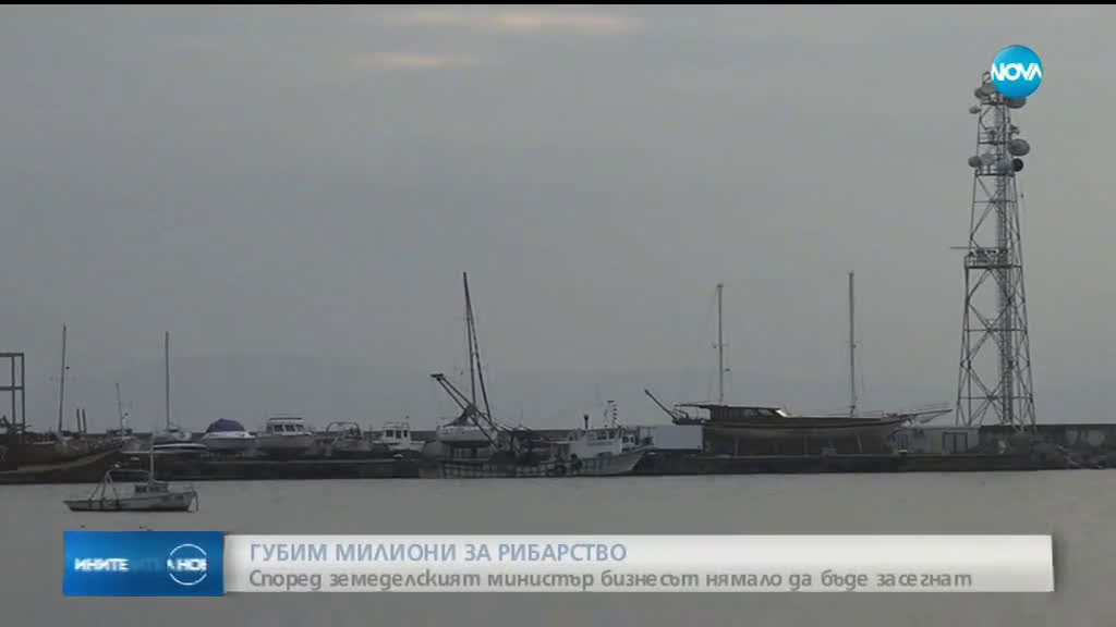 Губим 7,2 милиона евро за рибарство