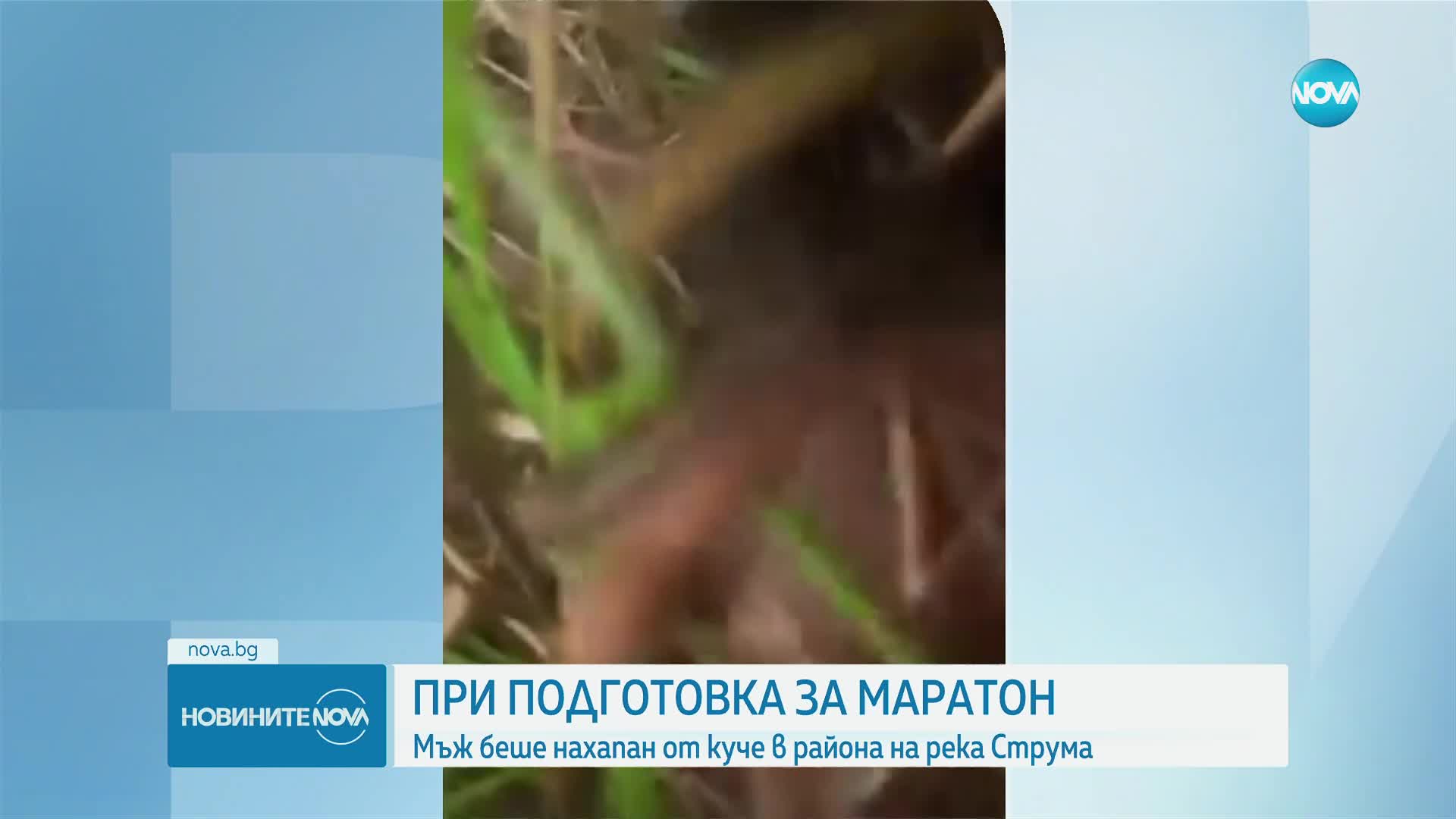 Мъж е нахапан от куче при подготовка за маратон