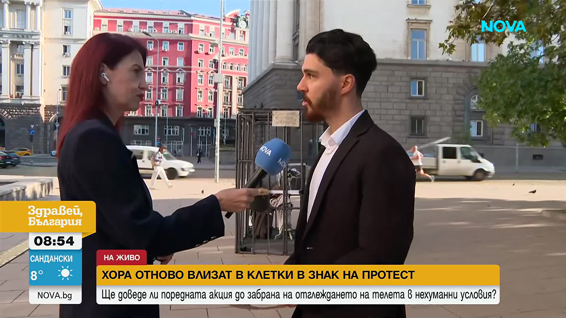 Протест пред парламента: Активисти отново се затварят в клетки заради нехуманно отглеждане на телета