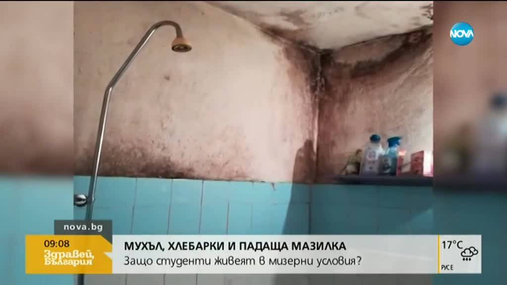 Потресаваща мизерия в студентски общежития в София