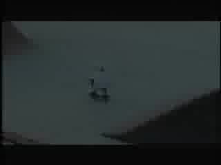 Супер Скейтърчета Близнаци