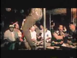 Don Omar & Daddy Yankee - Gata Ganster