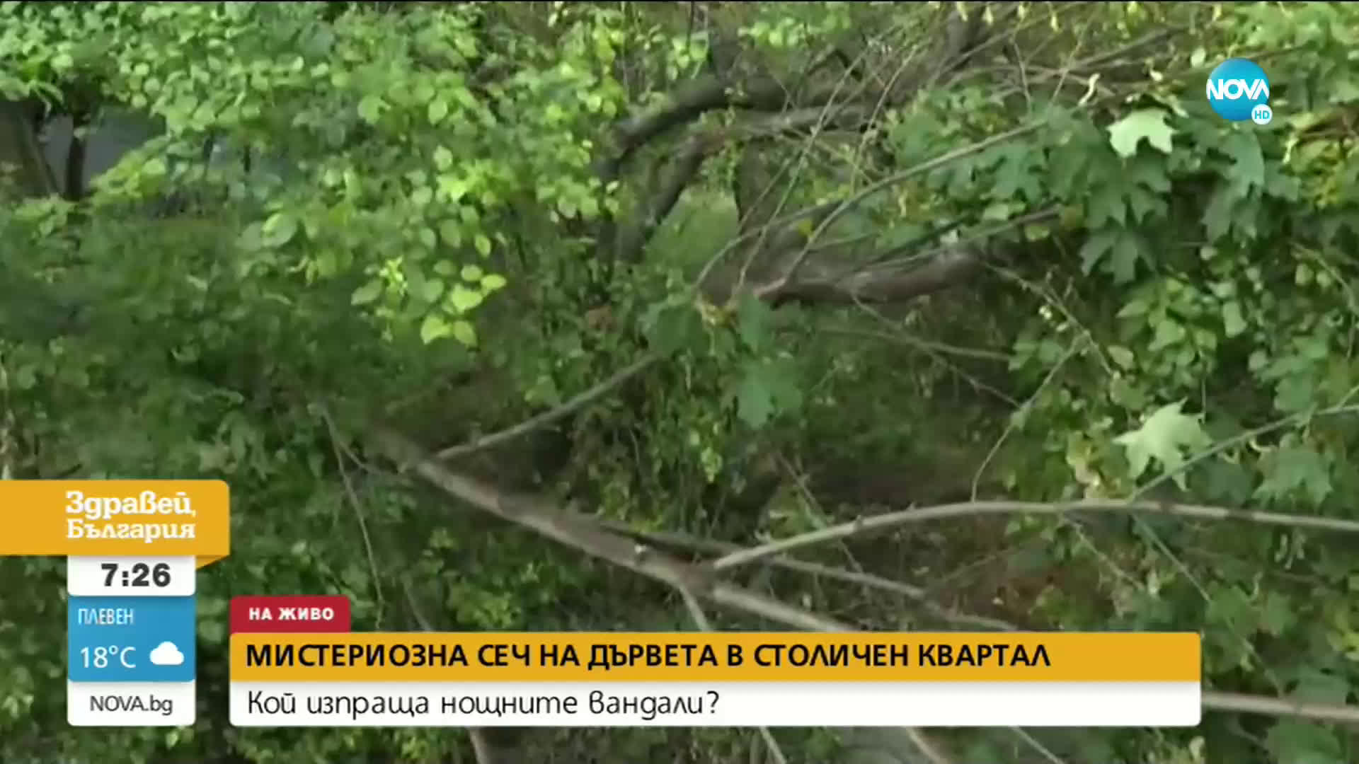 Вандали секат дървета в квартал в София