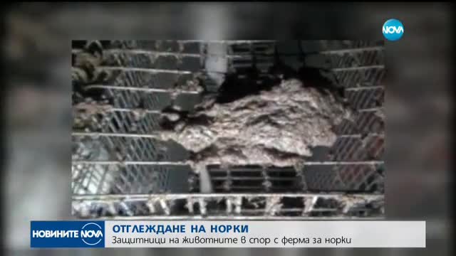 Новините на NOVA (04.09.2017 - лятна късна)