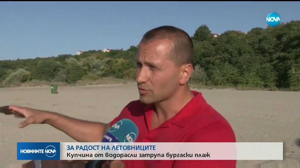 Кой изсипа камари с водорасли на плаж край Бургас?