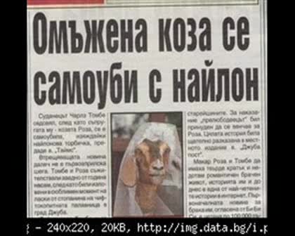 Яко Клипче С Картинки С Надписи