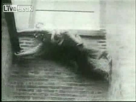 Как е изглеждал първия паркур