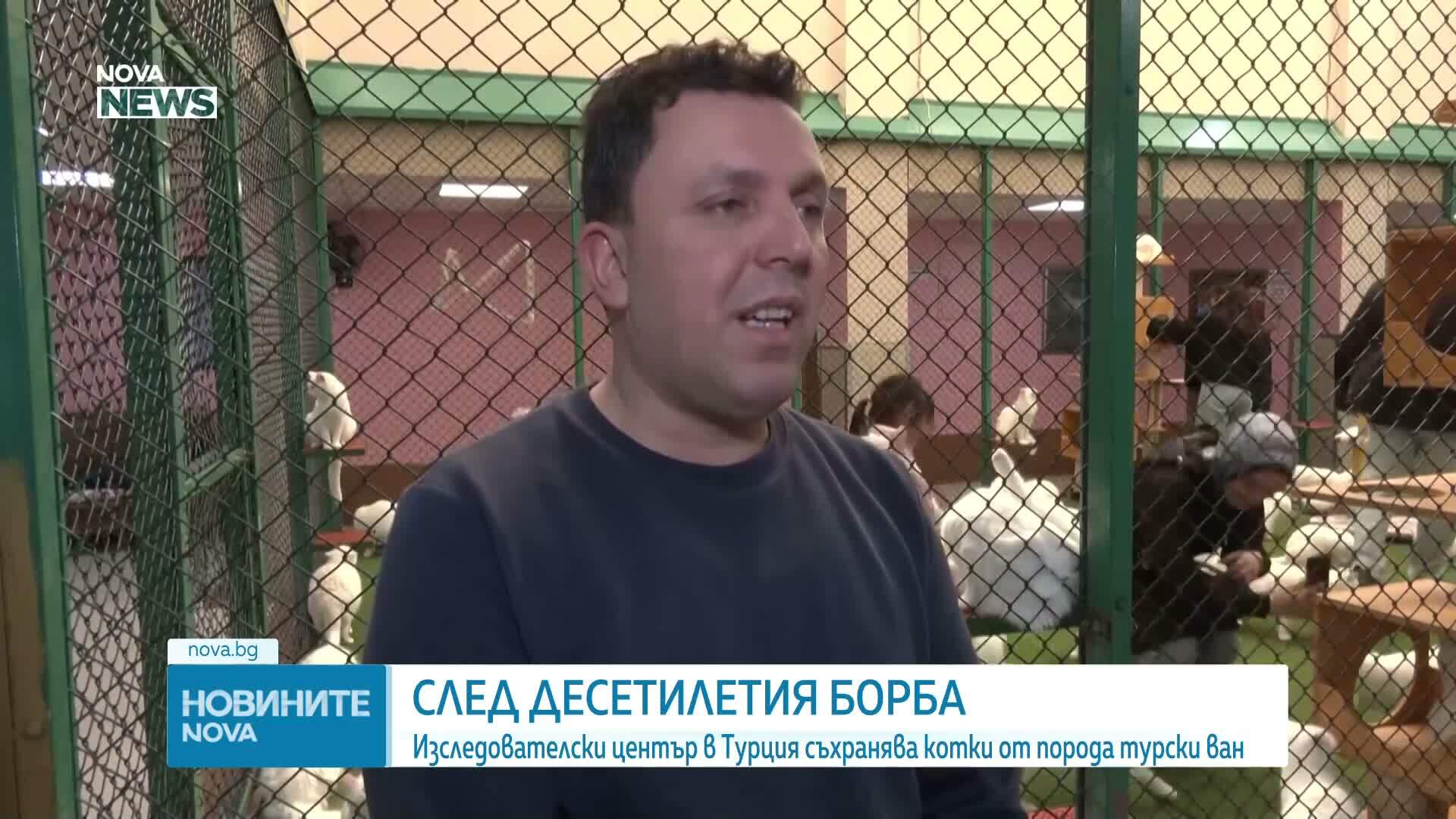 Изследователски център опазва котки от порода турски ван