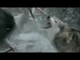 А Ти Помниш Ли Ме?!?