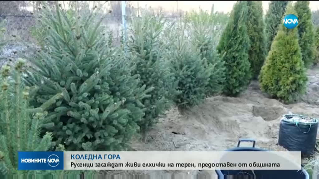 Новините на NOVA (02.01.2020 - обедна емисия)