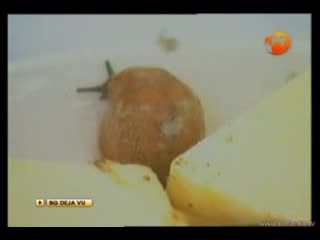 Маргарита Хранова - Тихи Стъпки
