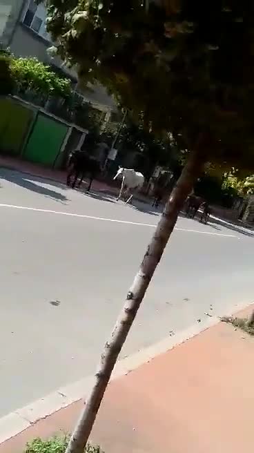 Пазарджик... 2018-а година