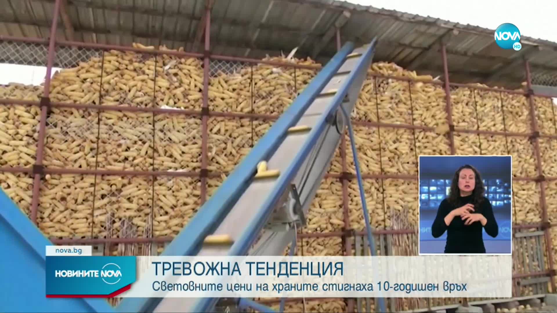 Световните цени на храните най-високи от 10 години