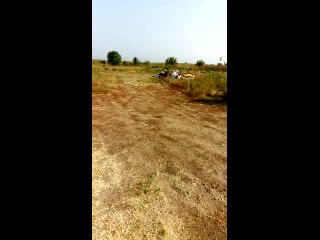Докога?