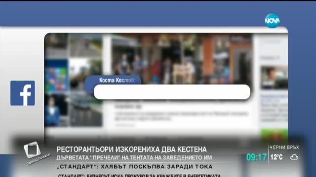 Ресторантьори изкорениха два кестена, пречели на тентата на заведението