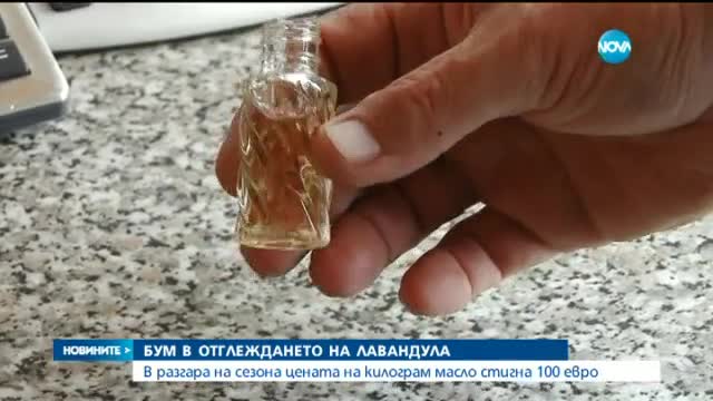 България – първа по производство на лавандулово масло
