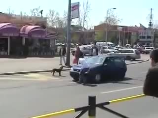 Никога не бибиткай на куче!!