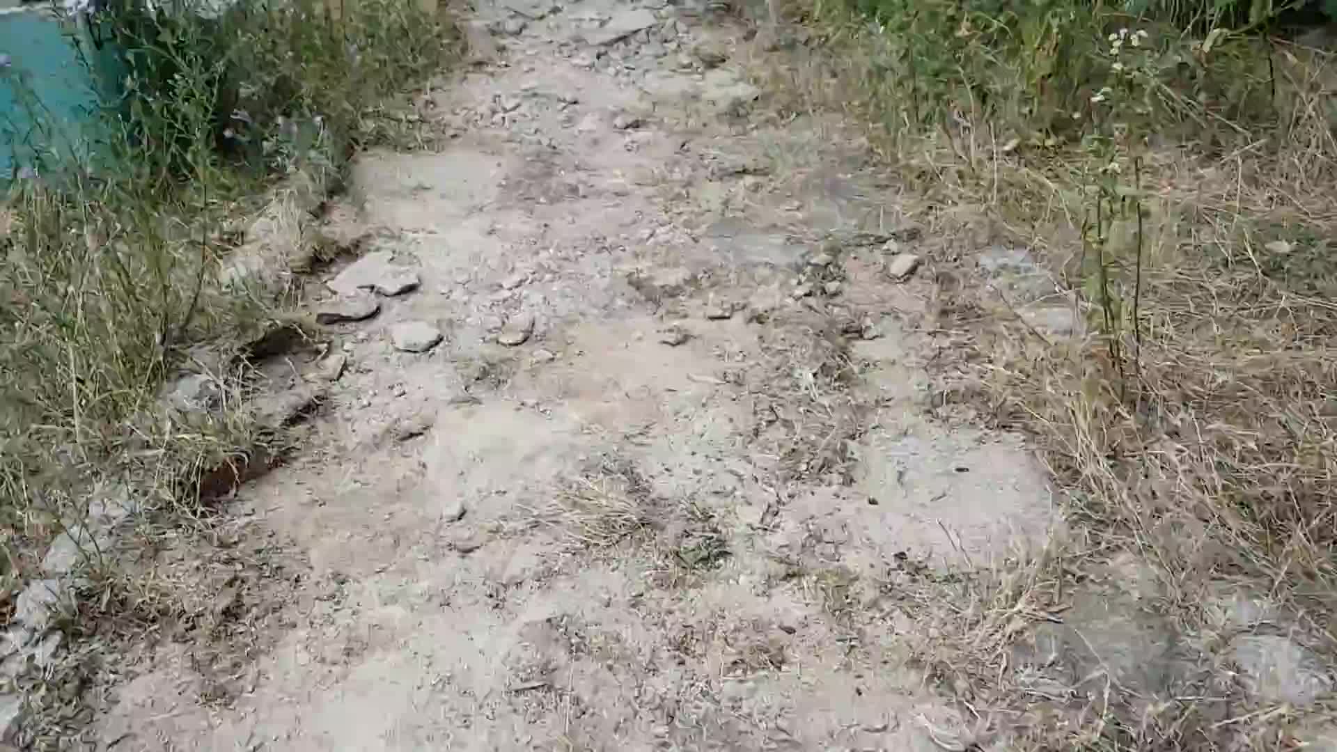 Крепост в Монтана обрасла в трева