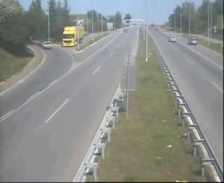 Тези Хора Просто Не Мислят...