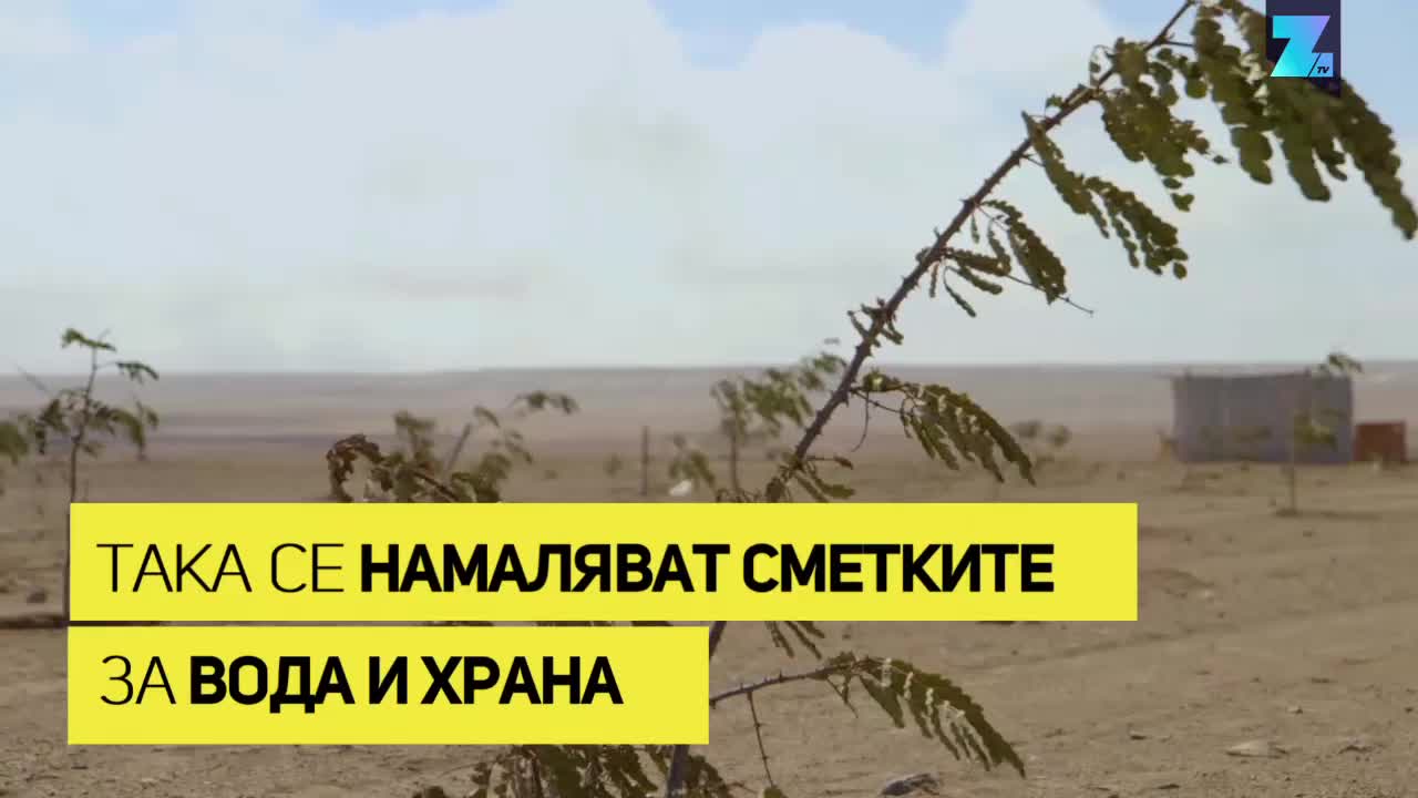 Събирачът на мъгла