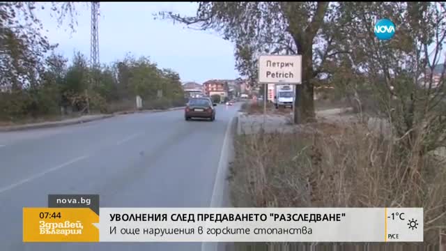 Уволнения след разследване на NOVA за нарушенията в горско стопанство