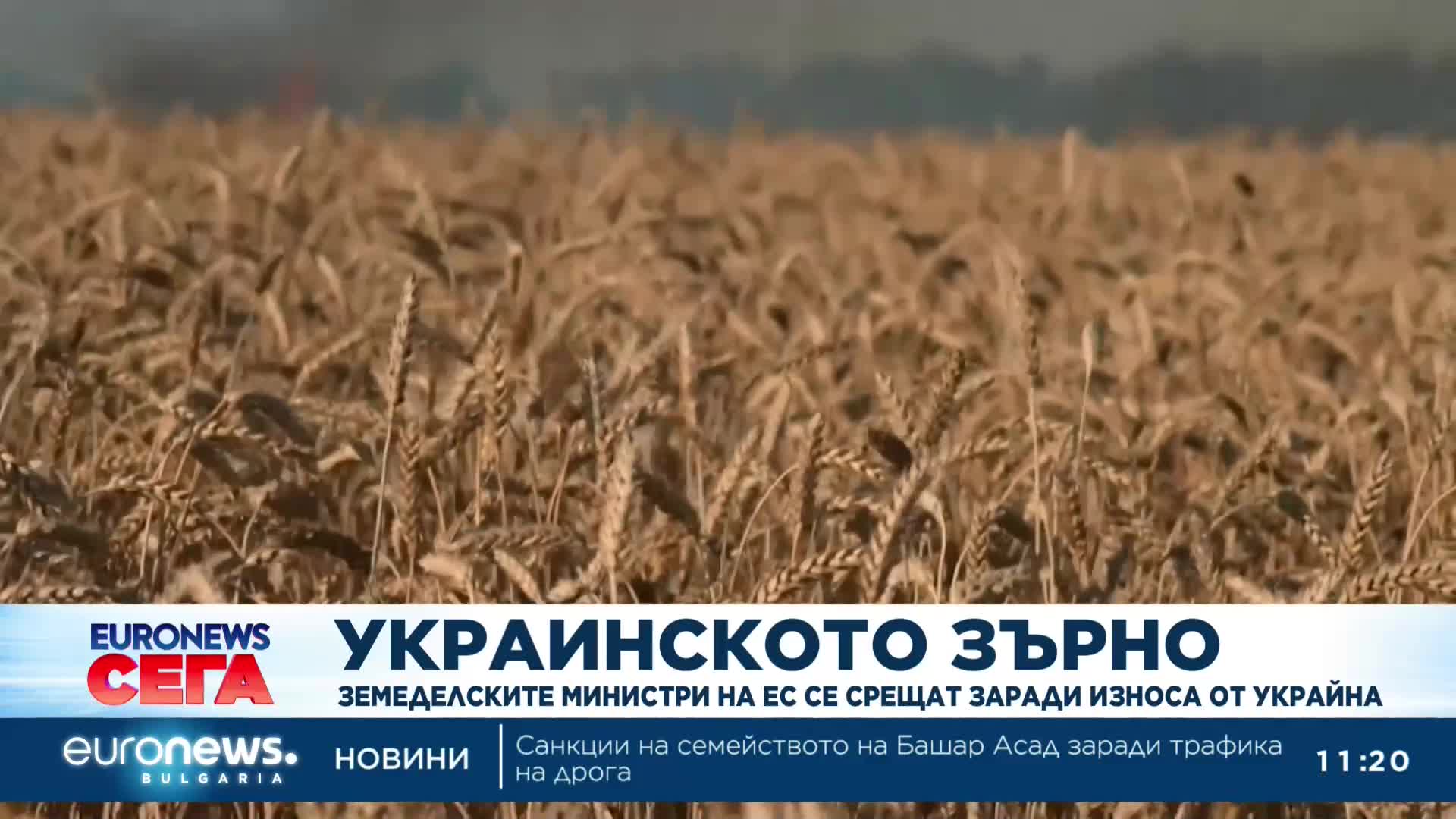 Министрите на земеделието в ЕС се събират на среща за украинското зърно