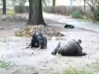 Смях! Големи Пияници ..